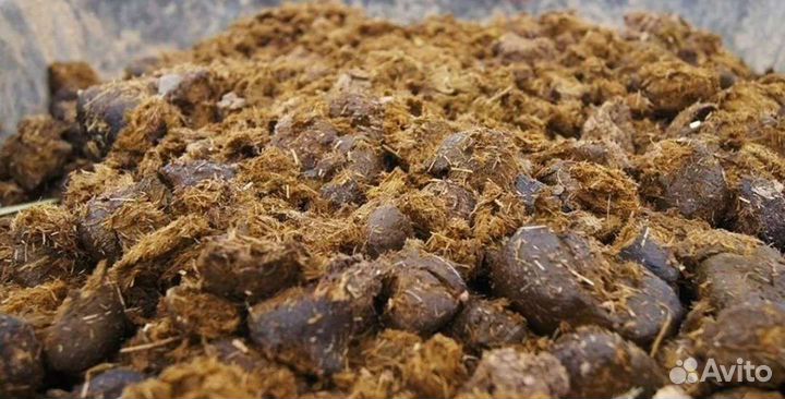 Конский навоз