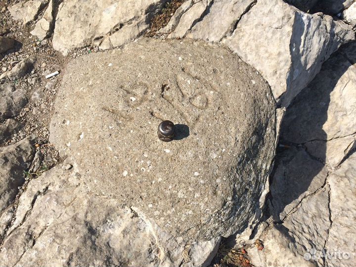 Геодезист, кадастровый инженер