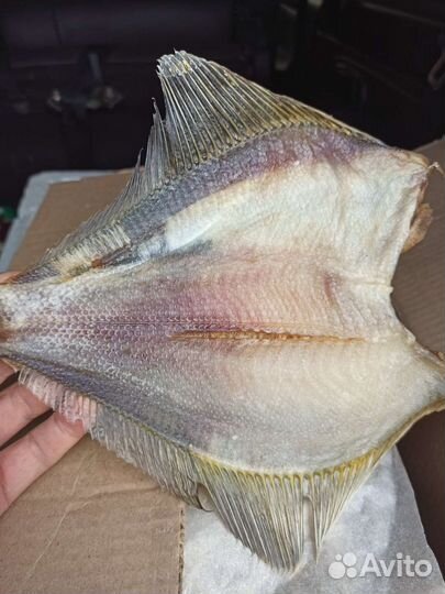 Камбала вяленая
