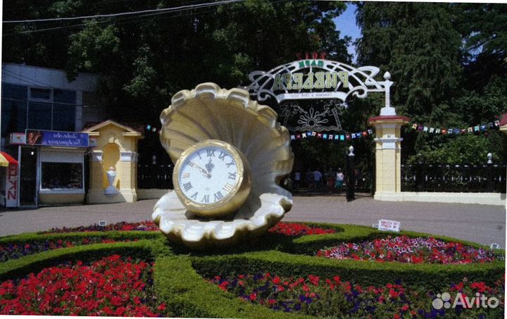 Тур льготный Сочи участнику сво + семья все вкл