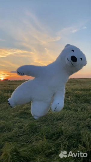 Мишка на поздравления