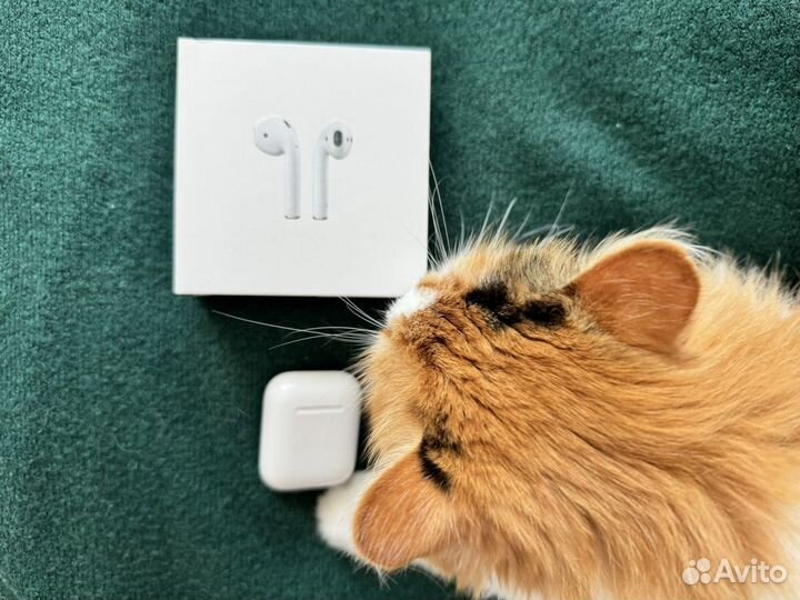 Наушники apple airpods 1