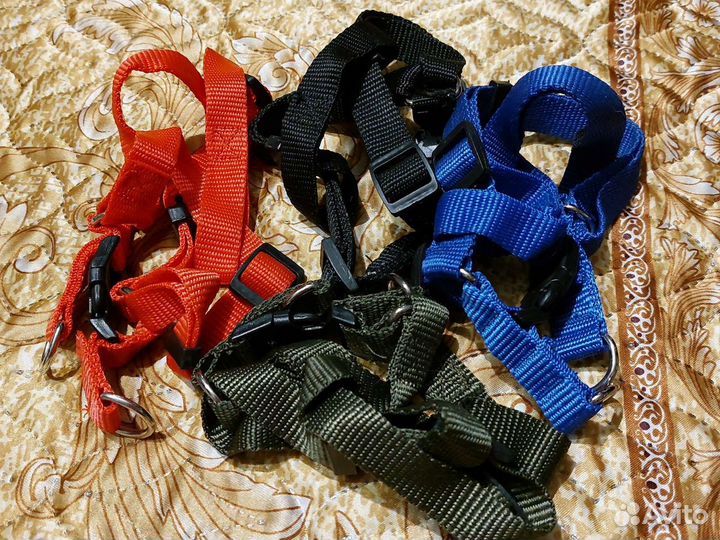 Шлейки для собаки