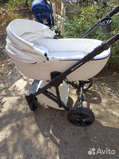 Коляска Adamex luciano 2 в 1