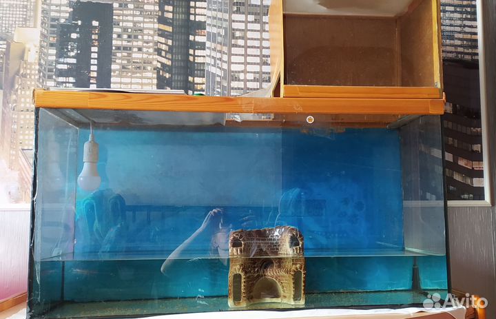 Аквариум 150 л торг