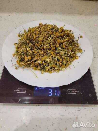 Ромашка аптечная лекарственная