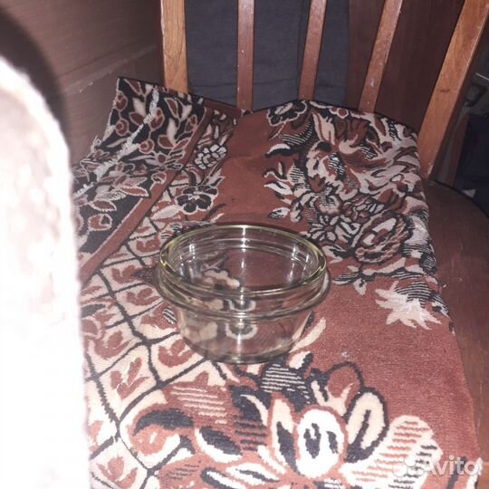 Баночка для икры