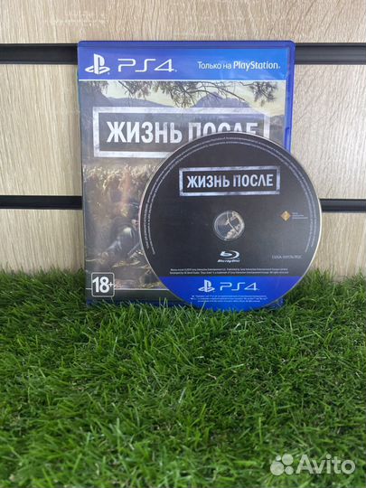Жизнь после (PS4)