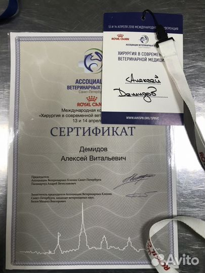 Кастрация кота в любом районе спб. Ветврач на дом