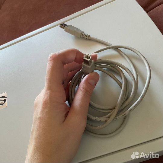 Сканер hp scanjet 2400