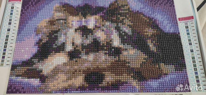 Алмазная вышивка готовая работа