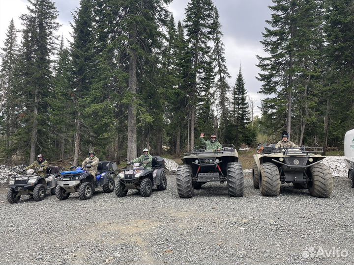 Прокат квадроциклов