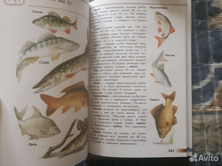 Атлас А.А.Плешаков от земли до неба