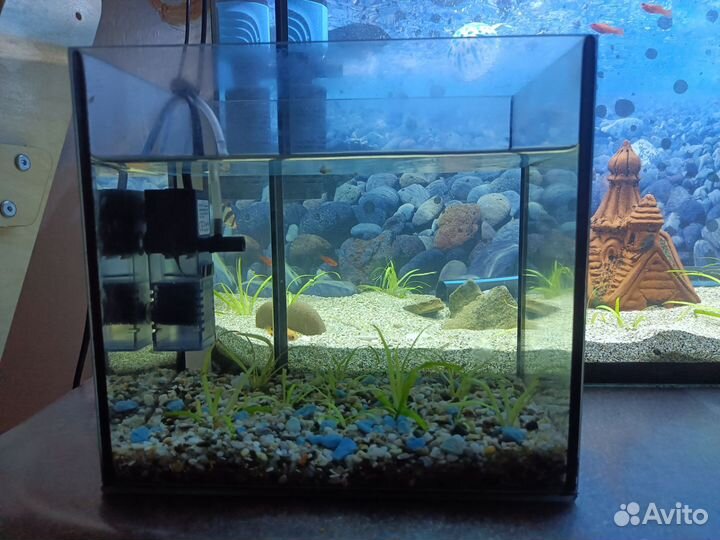 Аквариум