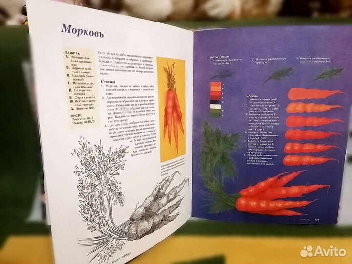 Комплект книг: Джеки Шоу 'Курс живописи', М-К натю