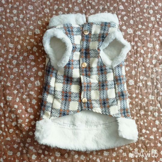 Для собак одежда