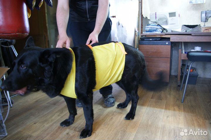 Фартук для собак