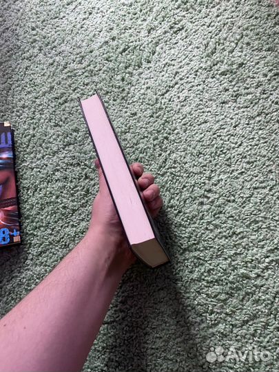 Терри Пратчетт Санта-Хрякус