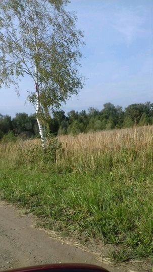 Участок 4 га (СНТ, ДНП)