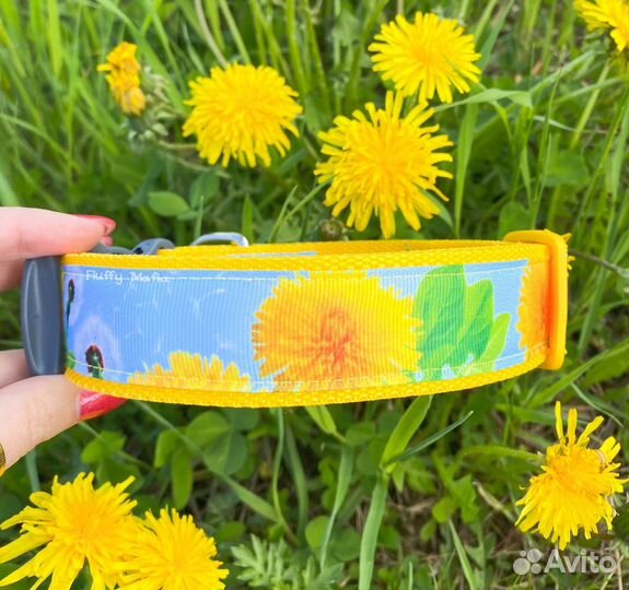 Ошейники и адресники