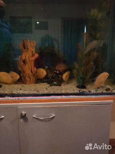 Аквариум с тумбой бу