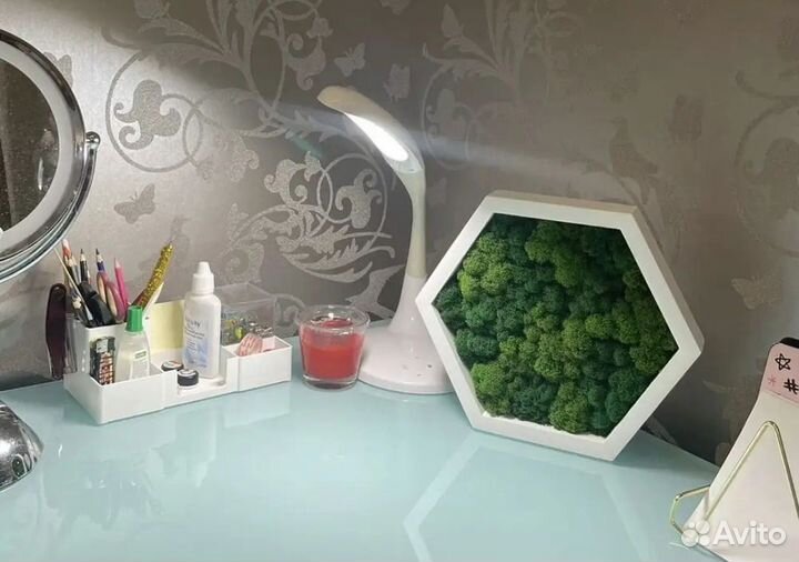 Соты со мхом стабилизированный