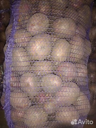 Продам картошку