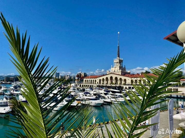 Обзорная по Сочи