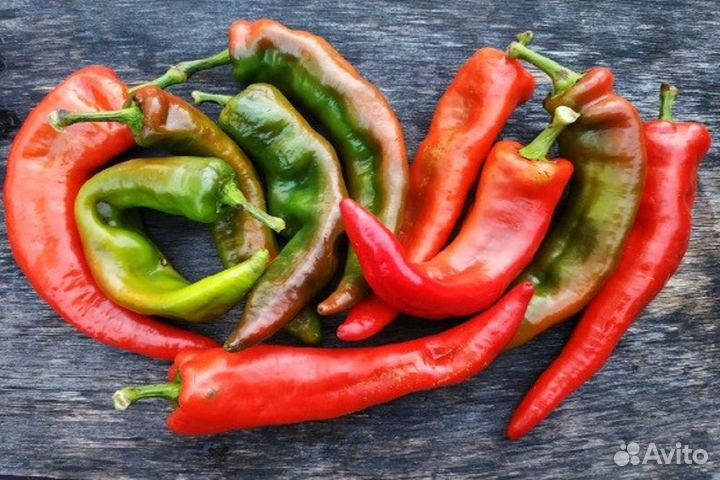 Перец сладкий Корн (семена)