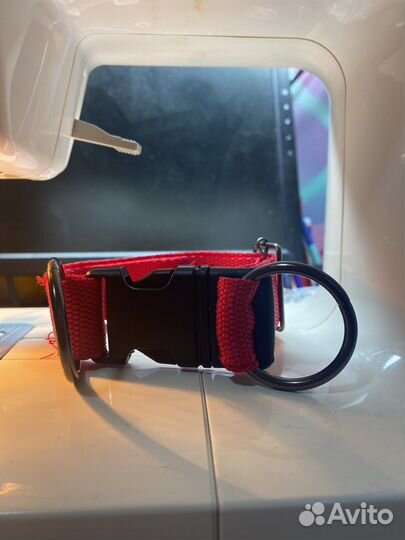 Ошейник для собак