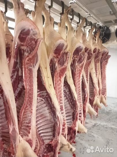 Мясо свинины оптом и в розницу