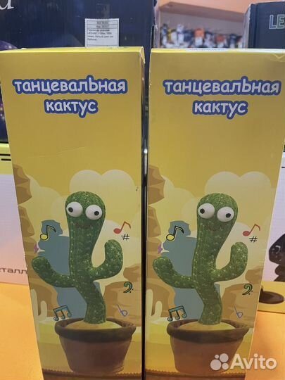 Танцующий кактус