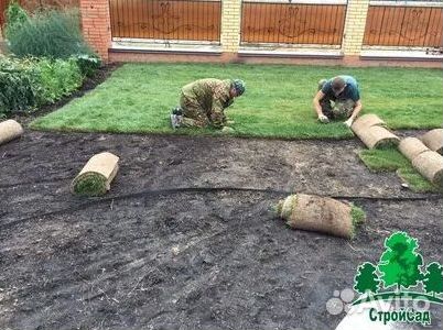 Газон рулонный