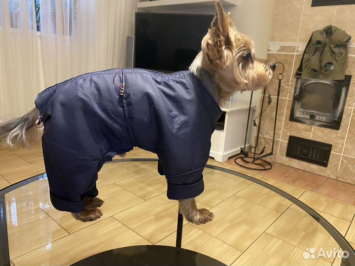 Новые комбинезоны ручной работы для собачек