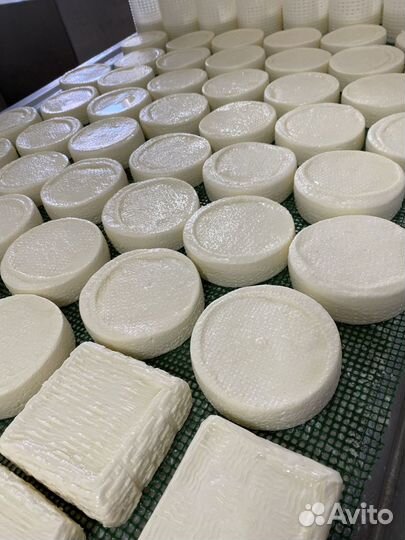 Сыр Камамбер