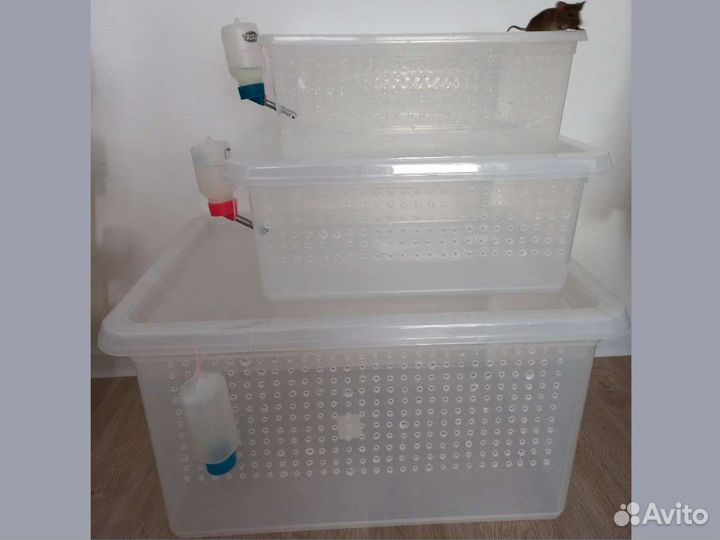 Террариум для грызунов