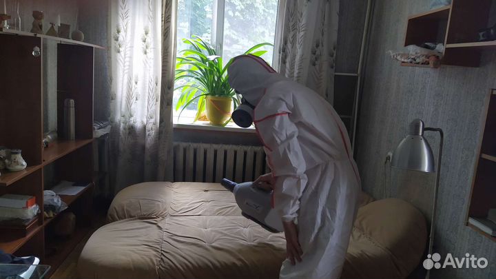 Травля тараканов клопов