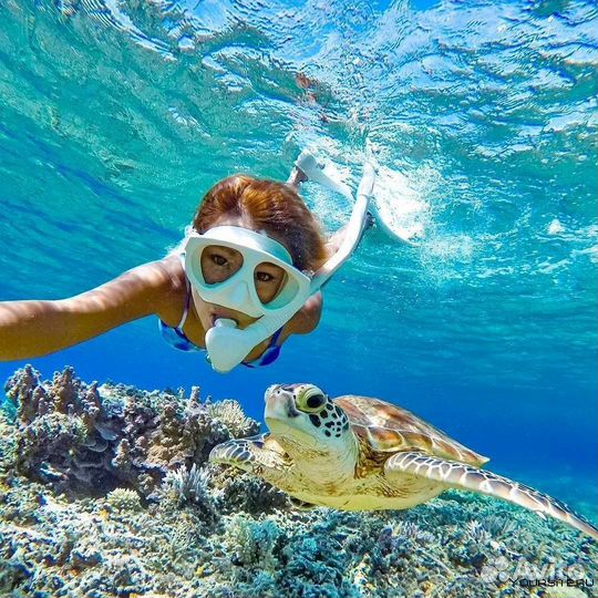 Египет туры в мае из Москвы и не только