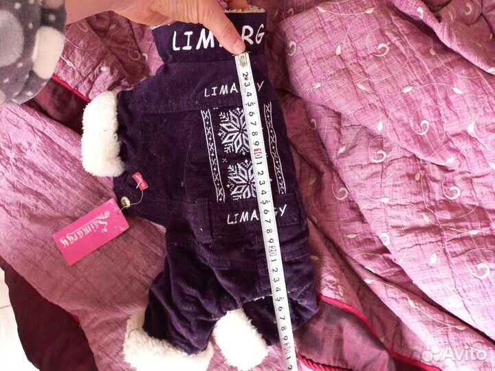 Дождевики для маленьких собак