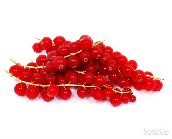 Закупщик овощей и фруктов