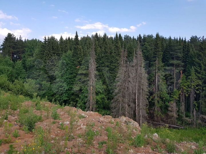 Участок 6 сот. (ИЖС)