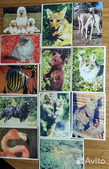 Календарики карманные коллекция