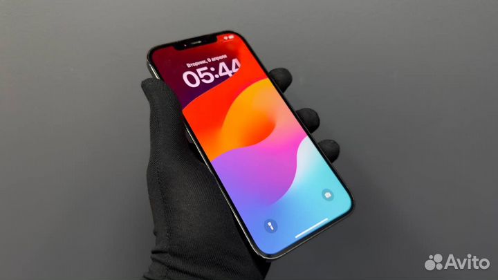 iPhone 12 Pro Max, 256 ГБ