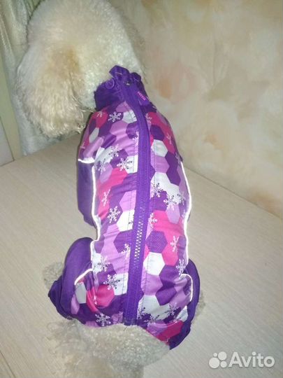 Непромокаемый комбинезон для собак мелких пород