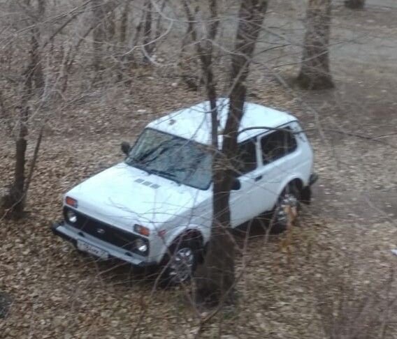 ВАЗ (LADA) 4x4 (Нива): фото владельца