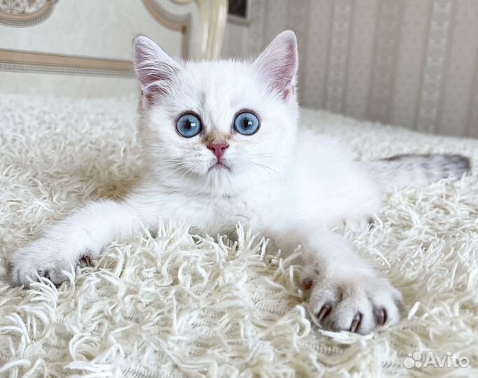 Мальчик по имени Kirby by1133