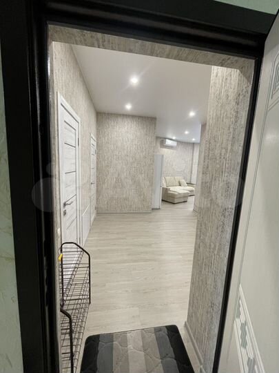 1-к. квартира, 55 м², 2/3 эт.