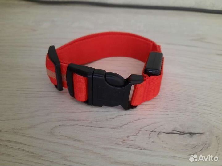 Рюкзак для собак и ошейник светящийся