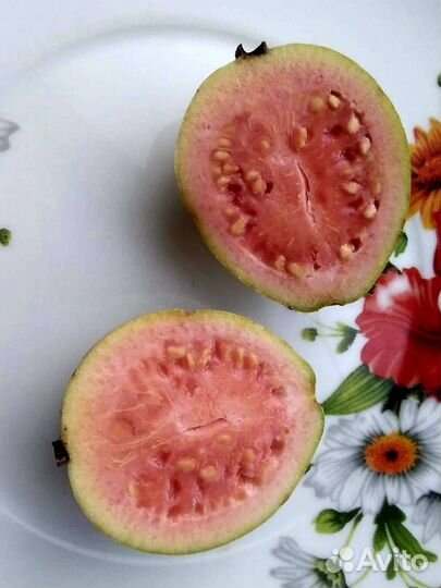 Гуайава, Сизигум,Гликосмис Джин Берри