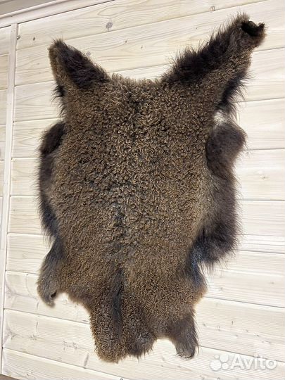 Шкура козленка цельная
